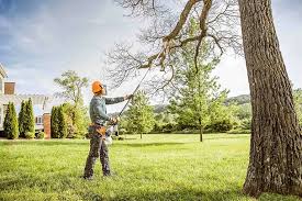 Best Tree Health Inspection  in Eastover, NC